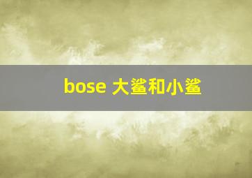 bose 大鲨和小鲨